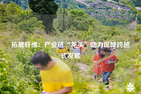 拓展纤维：产业链“龙头”助力区域跨越式发展