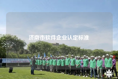 济南市软件企业认定标准