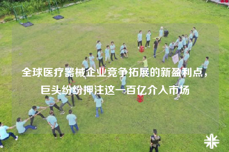 全球医疗器械企业竞争拓展的新盈利点，巨头纷纷押注这一百亿介入市场