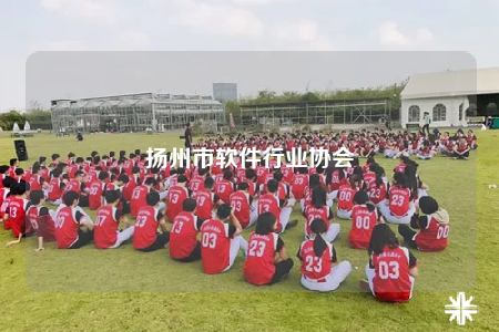 扬州市软件行业协会