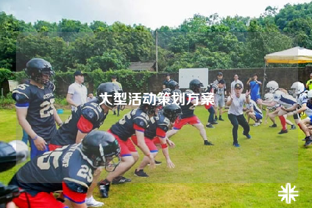 大型活动策划方案