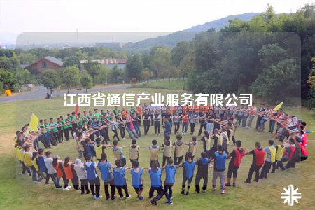 江西省通信产业服务有限公司