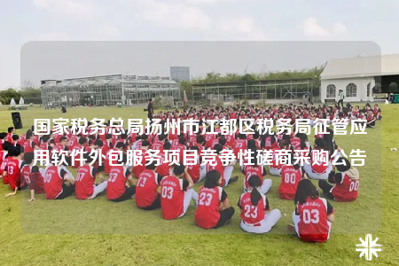 国家税务总局扬州市江都区税务局征管应用软件外包服务项目竞争性磋商采购公告