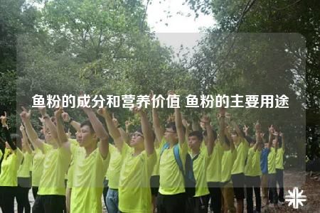鱼粉的成分和营养价值 鱼粉的主要用途