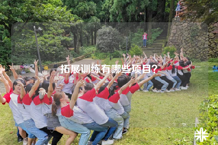 拓展训练有哪些项目？