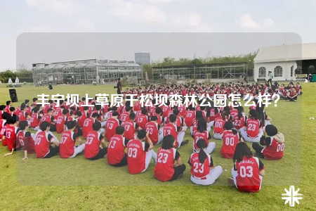 丰宁坝上草原千松坝森林公园怎么样？
