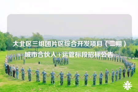大北区三组团片区综合开发项目（二期）城市合伙人+运管标段招标公告
