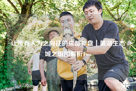 让所有人为之向往的成都神盘｜麓湖生态城之组团解析Two