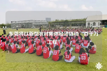 东莞将以新型农村集体经济撬动“百千万工程”