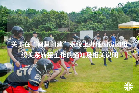 关于在“智慧团建”系统上办理团员团组织关系转接工作的通知及相关说明