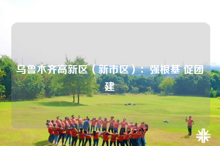 乌鲁木齐高新区（新市区）：强根基 促团建