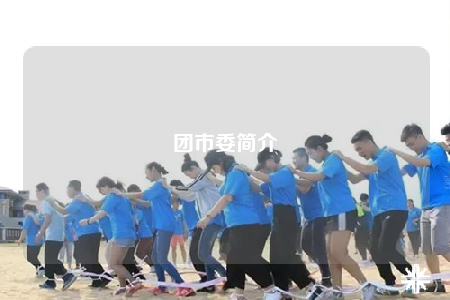 团市委简介