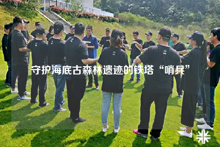 守护海底古森林遗迹的铁塔“哨兵”
