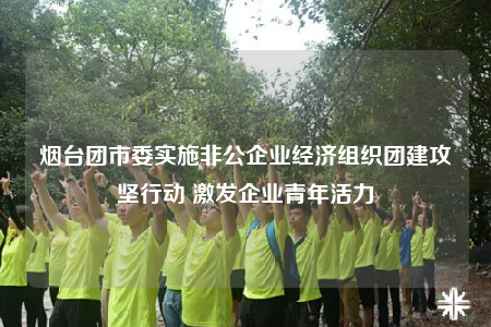 烟台团市委实施非公企业经济组织团建攻坚行动 激发企业青年活力