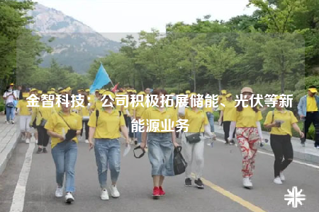 金智科技：公司积极拓展储能、光伏等新能源业务