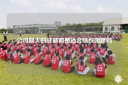 公司做大的战略调整适合组织团建吗