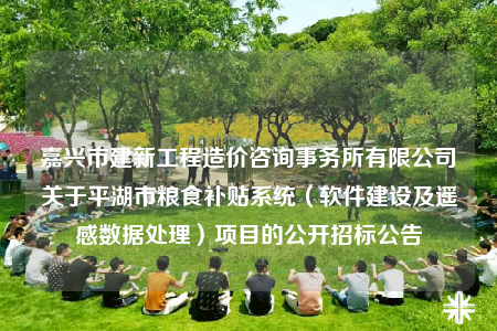 嘉兴市建新工程造价咨询事务所有限公司关于平湖市粮食补贴系统（软件建设及遥感数据处理）项目的公开招标公告