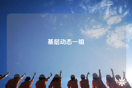 基层动态一组
