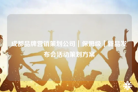 成都品牌营销策划公司｜保姆级｜新品发布会活动策划方案
