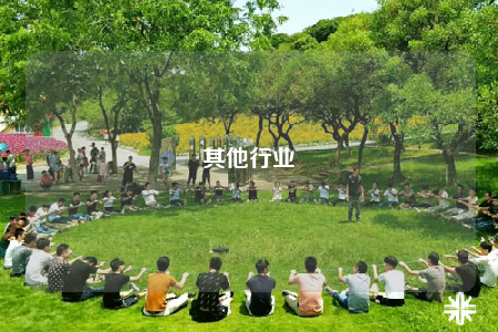其他行业