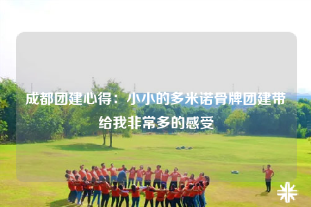 成都团建心得：小小的多米诺骨牌团建带给我非常多的感受