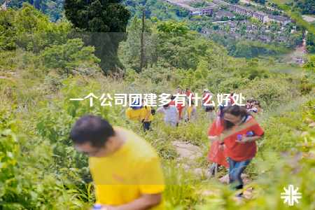 一个公司团建多有什么好处