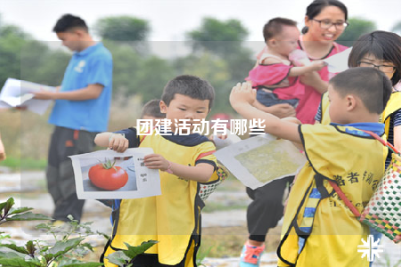 团建活动有哪些
