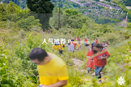 人气推荐 Promotion