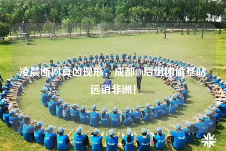 凌晨断网真凶现形，成都80后组团偷基站远销非洲！