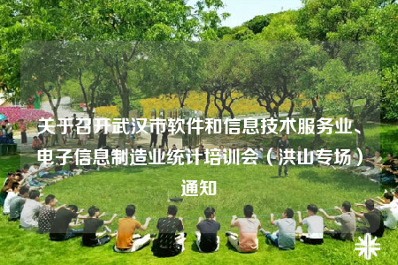 关于召开武汉市软件和信息技术服务业、电子信息制造业统计培训会（洪山专场）通知