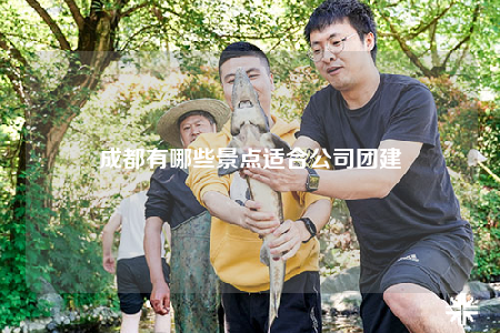 成都有哪些景点适合公司团建