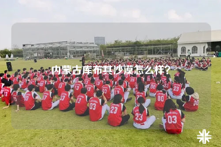 内蒙古库布其沙漠怎么样？