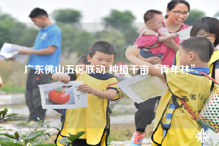 广东佛山五区联动 种植千亩“青年林”