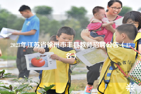 2023年江苏省徐州市丰县教师招聘公告（45名）