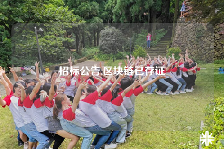 招标公告,区块链已存证