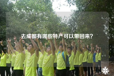 去成都有哪些特产可以带回来？
