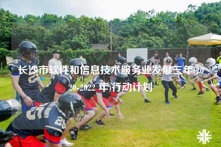 长沙市软件和信息技术服务业发展三年(2020-2022 年)行动计划