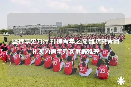 坚持学史力行 打造青年之城 潍坊共青团扎实为青年办实事解难题
