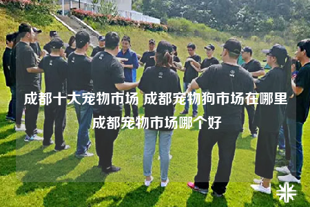 成都十大宠物市场 成都宠物狗市场在哪里 成都宠物市场哪个好
