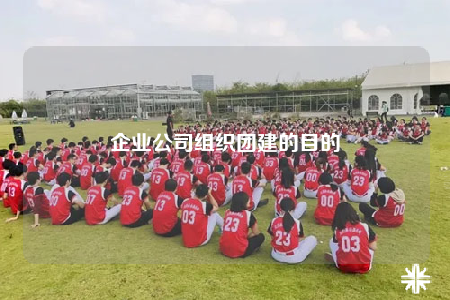 企业公司组织团建的目的