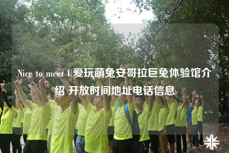 Nice to meet U爱玩萌兔安哥拉巨兔体验馆介绍 开放时间地址电话信息