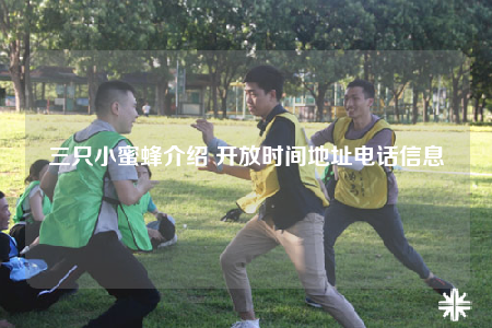 三只小蜜蜂介绍 开放时间地址电话信息