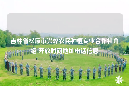 吉林省松原市兴烨农民种植专业合作社介绍 开放时间地址电话信息