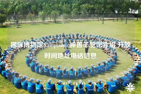 猫咪博物馆&amp;神兽羊驼馆介绍 开放时间地址电话信息